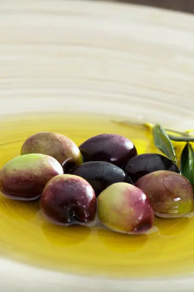 Tipos de nutrientes que aporta el aceite de oliva en tu organismo